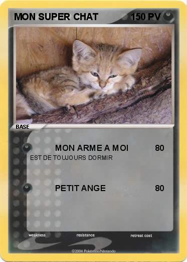 Pokemon MON SUPER CHAT
