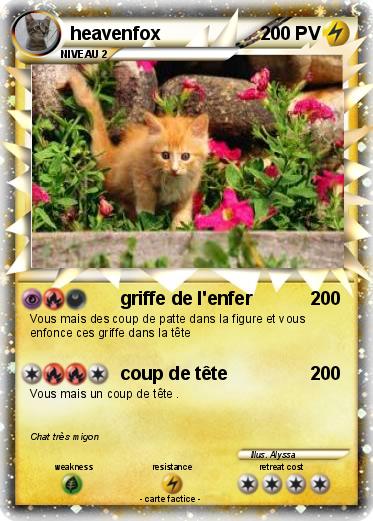 Pokemon heavenfox