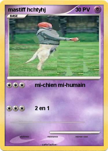 Pokemon mastiff hchtyhj