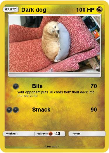 Pokemon Dark dog