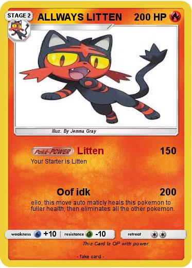 Pokemon ALLWAYS LITTEN
