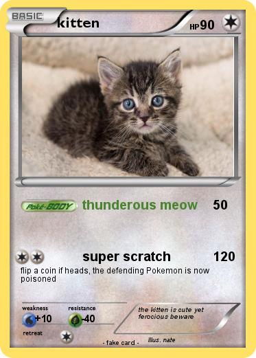 Pokemon kitten