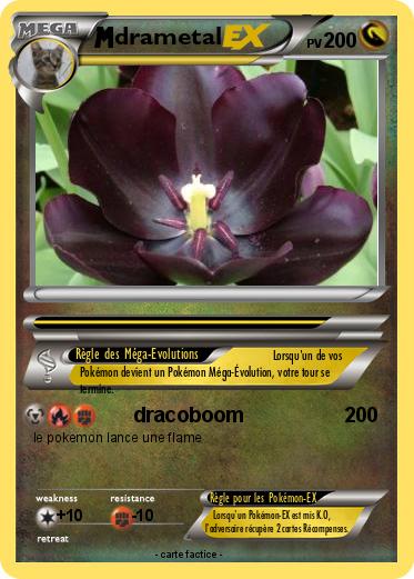 Pokemon drametal