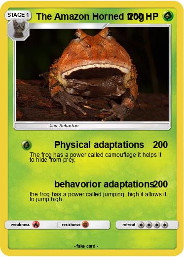 Pokemon The Amazon Horned frog