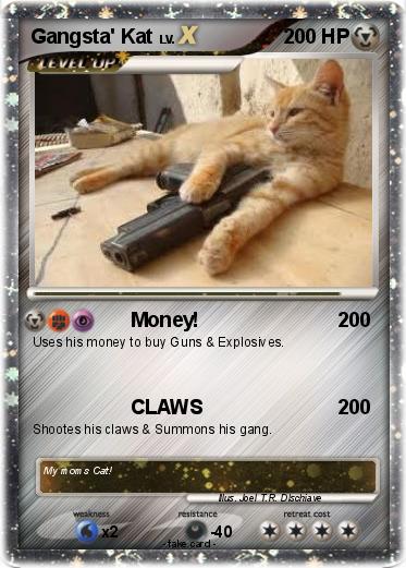 Pokemon Gangsta' Kat
