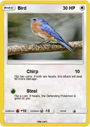 Pokemon Bird