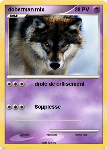 Pokemon doberman mix