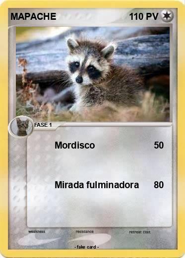 Pokemon MAPACHE