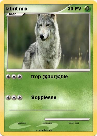Pokemon labrit mix