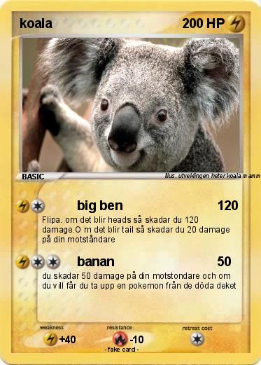 Pokemon koala
