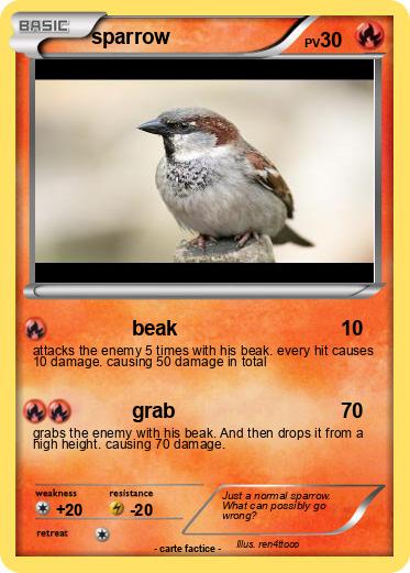 Pokemon sparrow