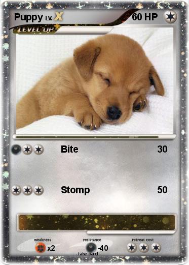 Pokemon Puppy