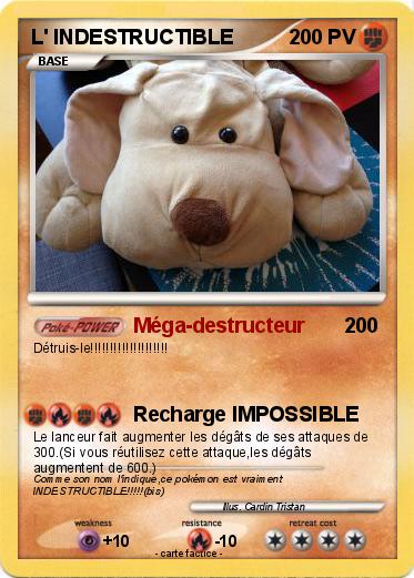 Pokemon L' INDESTRUCTIBLE