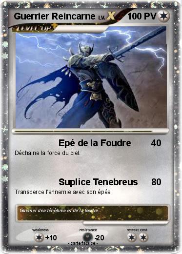 Pokemon Guerrier Reincarne
