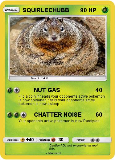 Pokemon SQUIRLECHUBB
