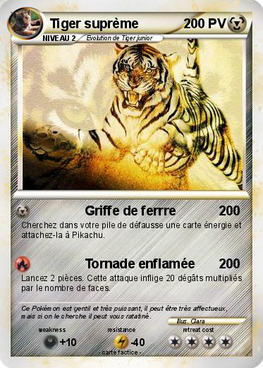 Pokemon Tiger suprème