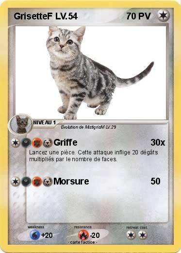 Pokemon GrisetteF LV.54