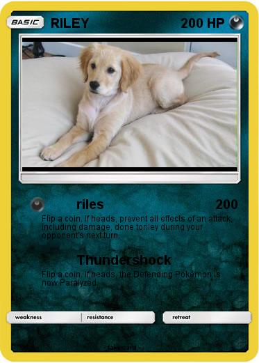 Pokemon RILEY