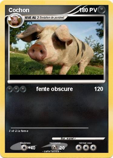 Pokemon Cochon