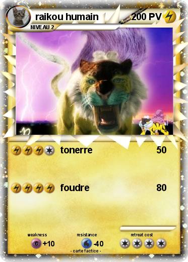 Pokemon raikou humain