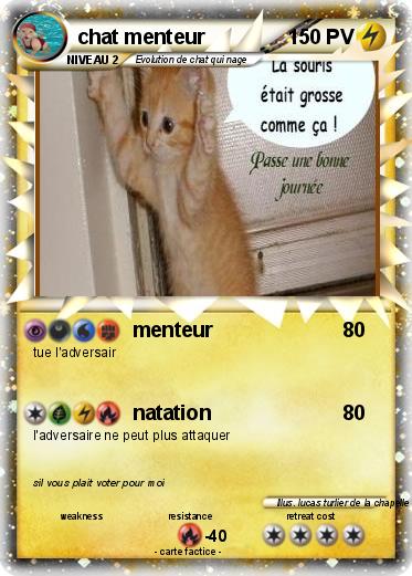 Pokemon chat menteur
