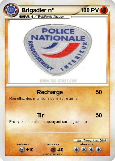 Pokemon Brigadier n°