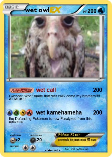 Pokemon wet owl