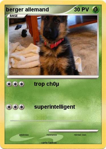 Pokemon berger allemand