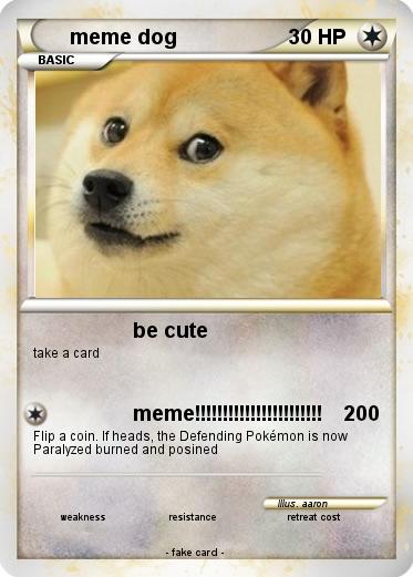Pokemon meme dog
