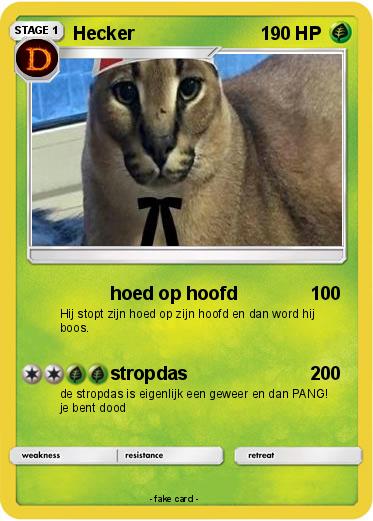 Pokemon Hecker