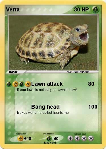 Pokemon Verta