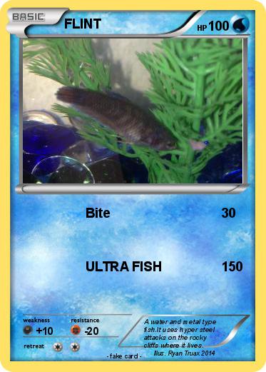 Pokemon FLINT