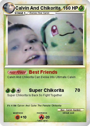 Pokemon Calvin And Chikorita