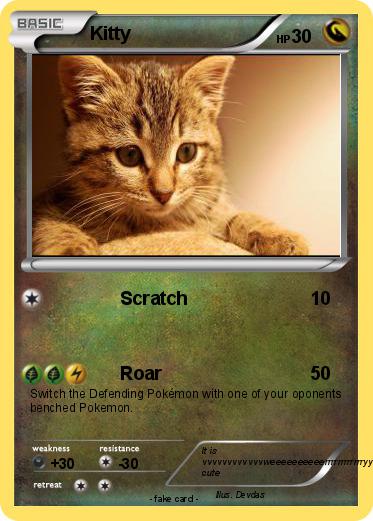 Pokemon Kitty
