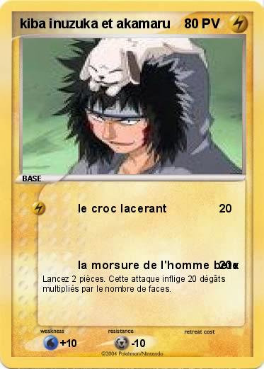 Pokemon kiba inuzuka et akamaru