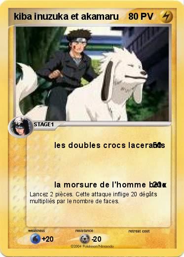 Pokemon kiba inuzuka et akamaru