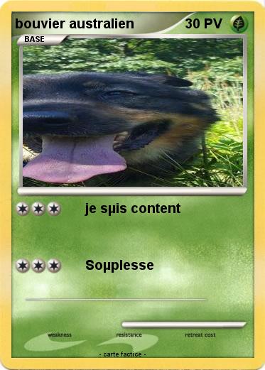 Pokemon bouvier australien