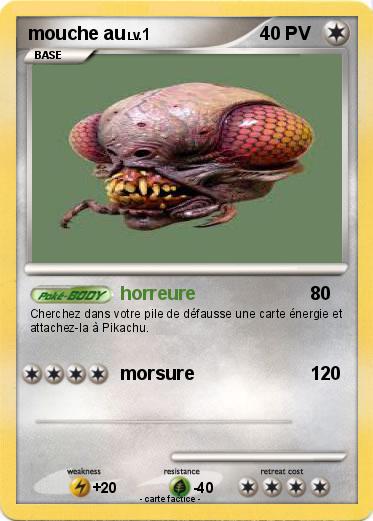 Pokemon mouche au