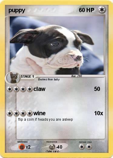 Pokemon puppy