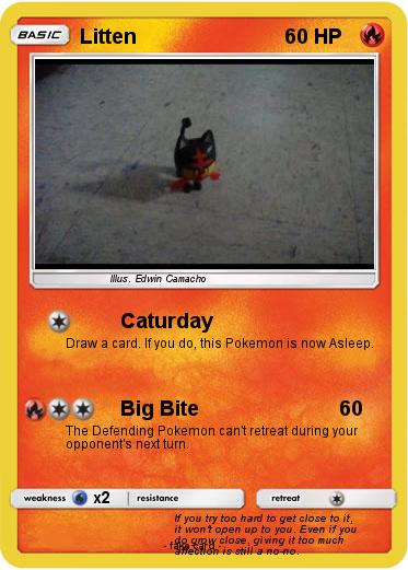 Pokemon Litten