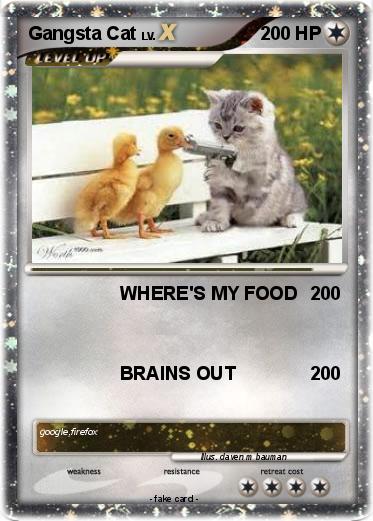 Pokemon Gangsta Cat
