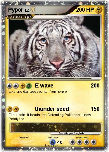 Pokemon Pypor