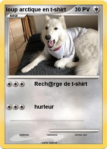 Pokemon loup arctique en t-shirt