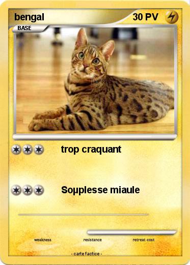Pokemon bengal