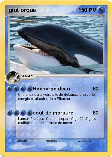 Pokemon grot orque