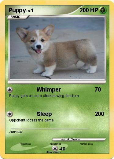 Pokemon Puppy
