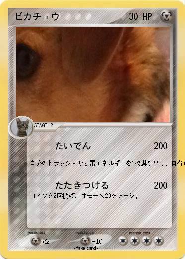 Pokemon ピカチュウ