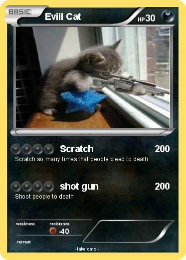 Pokemon Evill Cat