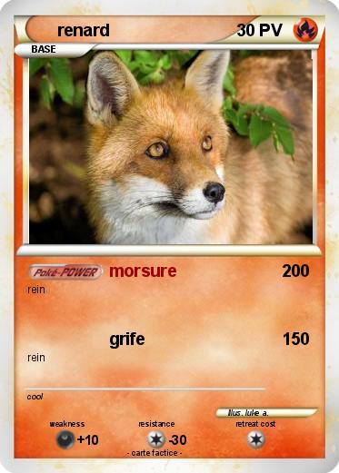 Pokemon renard