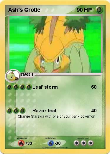 Pokemon Ash's Grotle